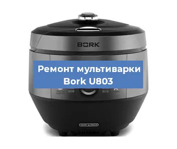 Замена чаши на мультиварке Bork U803 в Ростове-на-Дону